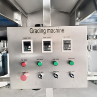 YOUBAN Fabrieks Prijs RVS Gewichtssorteermachine Automatische Fruitgewichtsgrader voor de Landbouwsector