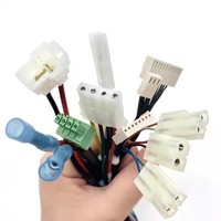 Konektor Kabel Betina Pa66 Pitch 2.5mm Asli, Kabel Harness Perakitan Adaptor JST XH 2-4 Pin Kustom untuk Elektronik Otomotif