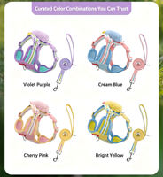 Harnais pour chien en maille anti-poils avec décorations amovibles en peluche monstre, mignon et tendance, ensemble gilet et laisse pour petits chiens en nylon