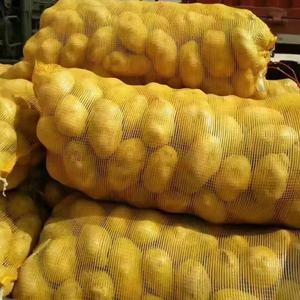 Emballage personnalisé 25kg 30kg Sacs à mailles PP pour pommes de terre oignons avec <span class=keywords><strong>dessin</strong></span> - Product Image 5