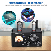 AIYIMA ses T9 BT 5.0 vakumlu tüp amplifikatör USB DAC Stereo alıcı koaksiyel/OPT HiFi ev ses dijital Amp w/VU metre 100W