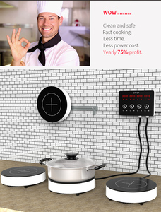 Cuisinière à induction <span class=keywords><strong>en</strong></span> céramique à zones multiples, détachable, pour restaurant - Offre Spéciale - Product Image 1