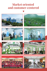 ยาลดไขมันหน้าท้องกระชับสัดส่วน28วัน Adelgazantes pildoras มะรุมดีท็อกซ์หน้าท้องแบน - Product Image 6