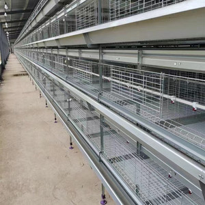Design moderne Batterie automatique Cage pour poussins de bébé d'un <span class=keywords><strong>jour</strong></span> Cage multifonctionnelle pour poussins nouvelle condition Cage pour poules pondeuses en vente - Product Image 3