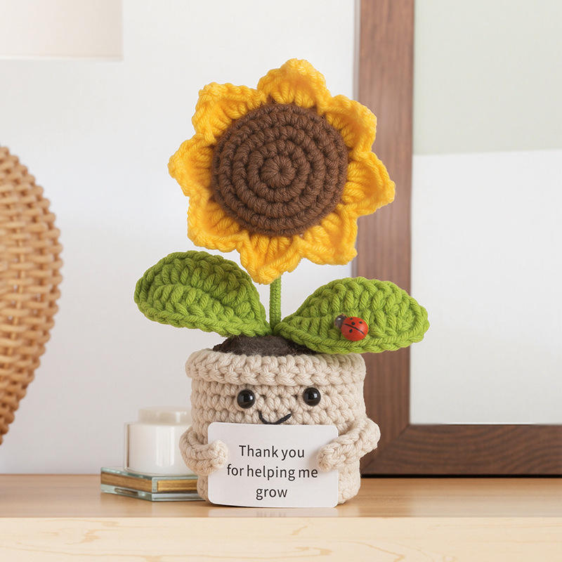 5 วงกลมของดอกทานตะวัน