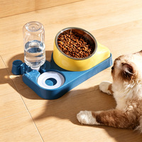 Distributeur automatique de nourriture pour chien lavable en acier inoxydable, gamelle pour chat de qualité commerciale, distributeur d'eau et de nourriture incliné 2 en 1 pour animaux de compagnie