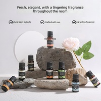 Diffuseur d'arômes sans flamme à huile essentielle hydrosoluble, humidificateur spécial, purificateur d'air écologique en bouteille pour la maison