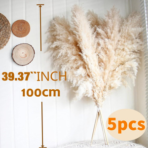 Wholesale Boho Wedding Decor Large Plume Dry Pampas Natural Real Preserved Feather <strong>Dried</strong> Pampas Artificial <strong>Plants</strong> - Product Image 6