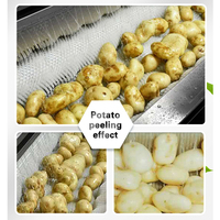 Automatische Cassave Hoge Kwaliteit Taro Dunschiller Machine Fruit Groente Huid Dunschiller Aardappel Schillen Machine