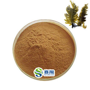 Polvo de Ecklonia Cava 100% Natural a Granel, Mejor Precio, Extracto de Ecklonia Cava en Polvo 10:1 - Product Image 1