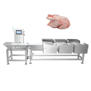 Chicken Meat Industrial Weighing Machine Full-automatic Weight Checker Level 6 Sorting Machine Sorter Machine