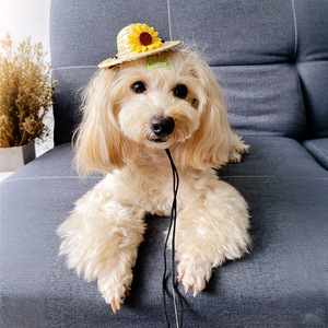 Sombrero de paja mini personalizado para perros, con diseño floral tejido, para mascotas, para usar en las cuatro estaciones. - Product Image 1