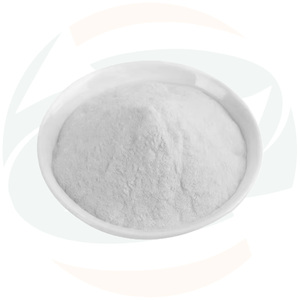 Extrait de Coleus Forskohlii Pur et Naturel en Poudre, Forskolin 10% 20% 98% - Vente Chaude Chine-Herb - Product Image 2