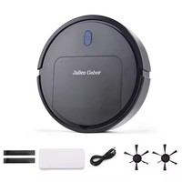 Robot aspirateur automatique MILI IS25 pour nettoyage humide et sec, machine à balayer et à laver la poussière pour la maison Jallen Gabor