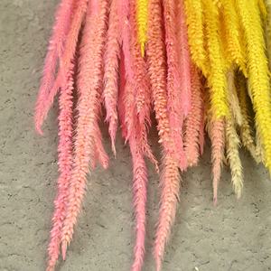 Ramo de Flores Secas Eternas, 30 Unidades por Paquete, Hecho a Mano, Tacto Realista, Ligero y Lujoso, Arreglo Floral Eterno - Product Image 3