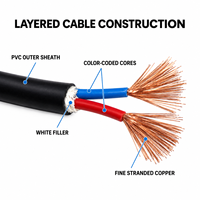 Câble de commande flexible 2 conducteurs 2 x 0,5 mm² H05VV-F RVV en cuivre isolé et gainé PVC 300/500V pour connexions d'instruments