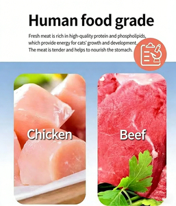 Aliment sec pour <span class=keywords><strong>chat</strong></span> OEM ODM, saveur poulet et bœuf, formule double viande, riche en protéines, sans céréales, pour chatons et chats adultes de toutes les générations - Product Image 2
