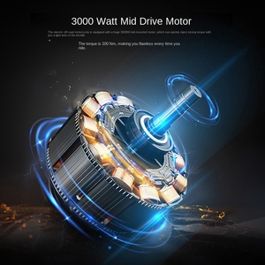 Batterie au lithium 48V 20Ah 3000W, vitesse maximale 55 km/h, moto, vente directe d'usine et vente en gros - Product Image 6