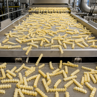 Automatische productie-apparatuur voor crinklefries, complete fabriek voor de productie van diepvriesaardappelproducten