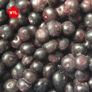 도매 냉동 과일 IQF 냉동 블루 베리 냉동 과일 음료 - Product Image 6