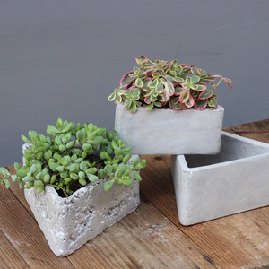 Nordic Simple Design Good Price Cement Mini <strong>Cactus</strong> Succulent Flower <strong>Pots</strong> <strong>for</strong> Wholesale - Product Image 2
