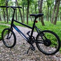 Vente directe usine OEM/ODM Vélo électrique adulte 20 pouces avec batterie lithium antivol 36V 250W et moteur moyeu arrière sans balais en acier