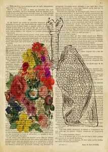 Affiche d'anatomie humaine vintage impression fleurs médicale mur photo <span class=keywords><strong>coeur</strong></span> cerveau anatomie toile peinture pour hôpital clinique décor - Product Image 6