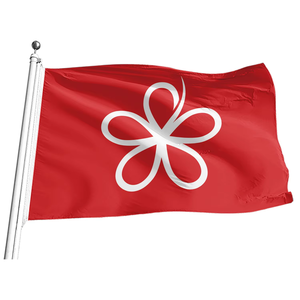 Производитель Gahumi, продающий 3x5 футов висячий полиэфирный флаг Малайзии для выборов с латунными люками, флаг берсату для выборов - Product Image 2