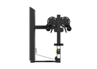 Équipement commercial LZX-V1005 de forme physique de gymnase avec le paquet et les accessoires de boxe à vendre