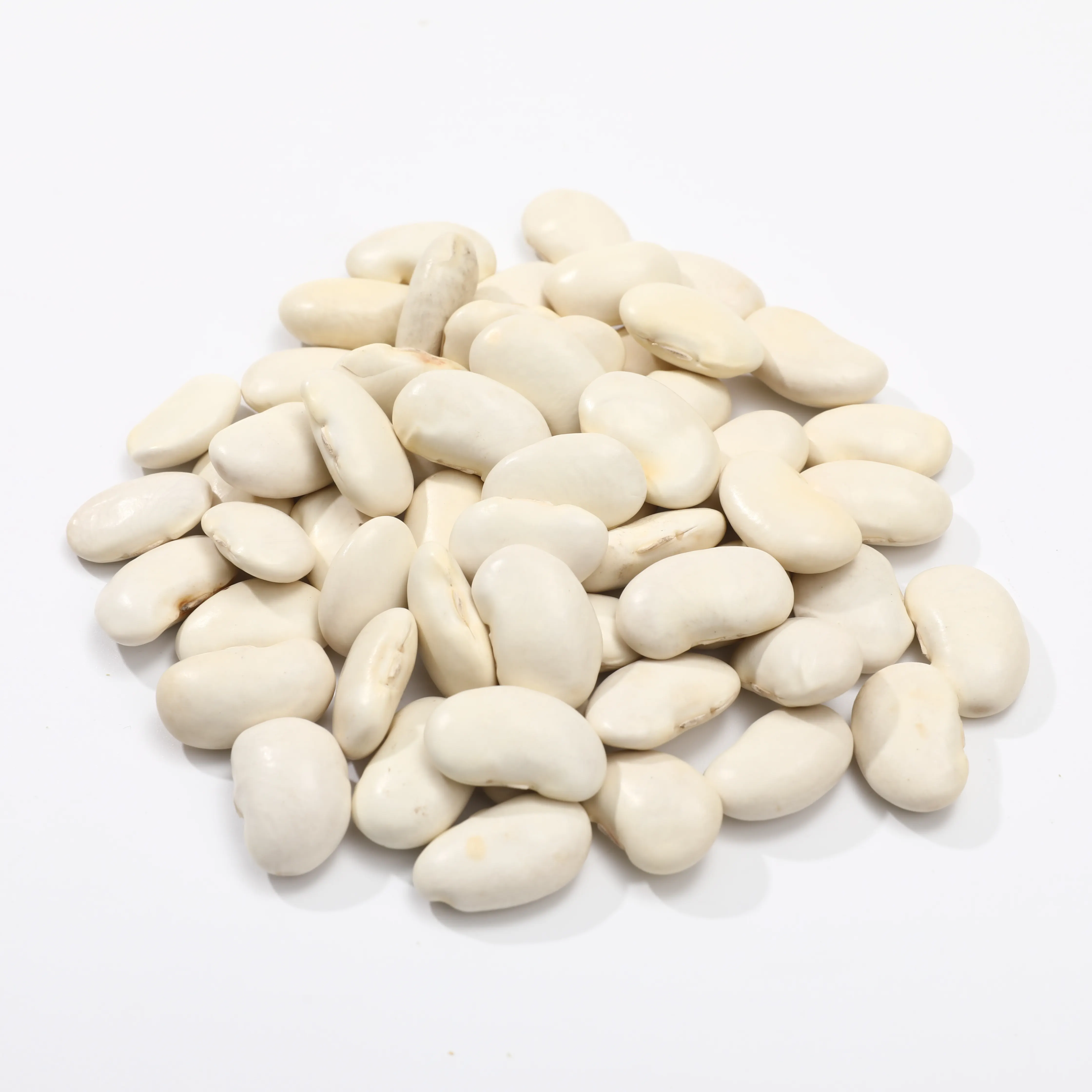 New crop big size dry white kidney beans for sale