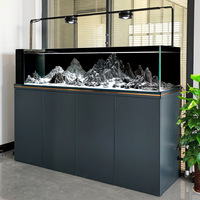 Aquarium ultra-blanc à fond en verre avec filtre, style industriel intelligent, pour paysages naturels, avec débordement latéral, pour salon et usage domestique