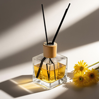 Luxe 50ml 100ml 150ml 200ml 250ml Verre Parfum Reed Diffuseur Bouteille Aromathérapie Vide Reed Diffuseur Bouteille