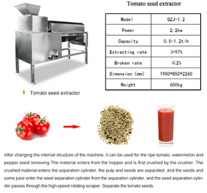 Machine industrielle à dénoyauter les fruits (prunes, abricots, cerises) – <span class=keywords><strong>Prix</strong></span> <span class=keywords><strong>de</strong></span> gros – Machine à retirer les noyaux et les pépins - Product Image 3