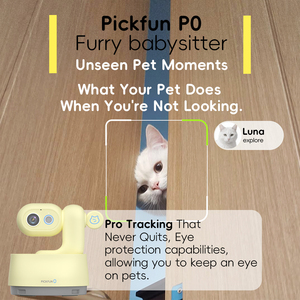 2025 AI Pet <span class=keywords><strong>Companion</strong></span> <span class=keywords><strong>Robot</strong></span> 3.6 Écran Auto Suivre Pet 360 Caméra HD 1080p Vlog Creator Smart Home Monitor Pet Emotion AI Camera - Product Image 3