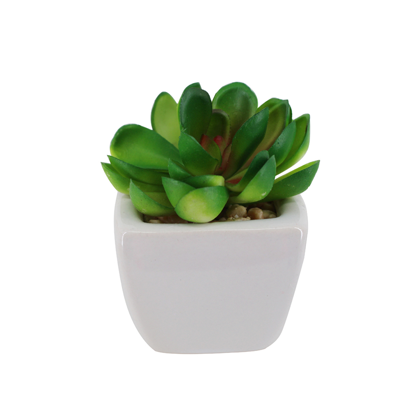 PA01-3   พีเอ01-3