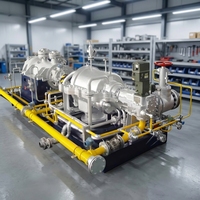 Groupe électrogène à turbine à vapeur biomasse pour la production d'électricité industrielle et la récupération d'énergie