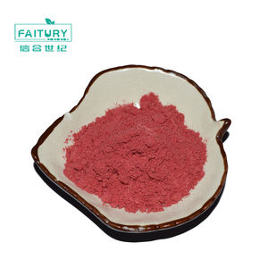 Commercio all'ingrosso biologico liofilizzato fragola in polvere di frutta fragola in polvere succo di fragola biologica in polvere - Product Image 4