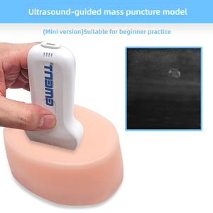 Mini Fantoccio per Addestramento alla Puntura di Lesioni con Ultrasuoni, Blocco Tissutale Compatto con Target Interno per la Pratica delle Biopsie per Principianti - Product Image 3