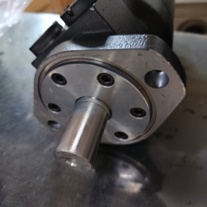 Lainuo Haute Qualité TG TE TF TH BG Série TE0100MW260AAAB Moteur Hydraulique Orbital à Couple Élevé Moteur Orbite Grand Radail Force - Product Image 5