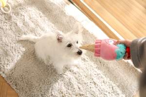 Tedavi dağıtıcı ile interaktif dondurma tasarım peluş TPR köpek oyuncak - Product Image 2