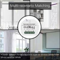 Tuya Smart Life WiFi 433Mhz interrupteur de rideau aveugle avec télécommande RF pour volet roulant électrique Google Home Alexa contrôle de la maison intelligente
