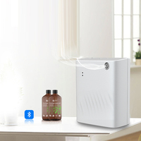 Diffuseur d'air mural professionnel, machine intelligente à parfum, aromathérapie électrique sans eau, prix bas, huile essentielle, parfum en plastique