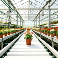 Convoyeur à bande plat modulaire industriel pour ligne de production de traitement des fleurs, compatible avec la découpe et le regroupement