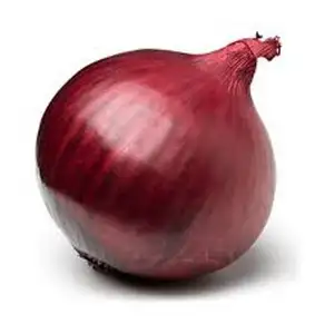 10kg mesh bag round fresh red onions chinese fresh yellow onion