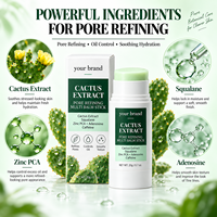 Stick multi-balsamique raffinant les pores à l'extrait de cactus, marque privée, 20g, avec Squalane, Zinc PCA, Adénosine, Caféine, Soin du visage coréen