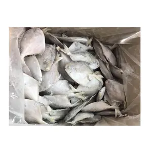 Frozen Sliver Pomfret Whole Round Fish From China