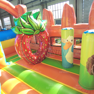 Winsun <span class=keywords><strong>2025</strong></span> New thương mại Trampoline <span class=keywords><strong>Inflatable</strong></span> lâu đài bouncy PVC <span class=keywords><strong>Inflatable</strong></span> <span class=keywords><strong>Bouncer</strong></span> Combo với trượt trẻ em người lớn - Product Image 6