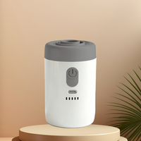 Pompe à air électrique portable multifonctionnelle mini certifiée CE FCC pour piscine, échantillons disponibles