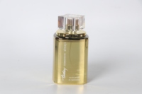 Parfum 100 ml, collection intelligente d'Italie, logo personnalisé, parfum longue durée, parfum pour homme