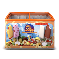 Congelador Comercial para Helados X-MING con Puerta Corredera de Vidrio, Certificado ETL y NSF para Cadenas de Supermercados